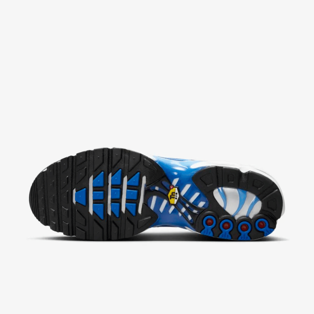 Nike Air Max Plus OG Multi-Color