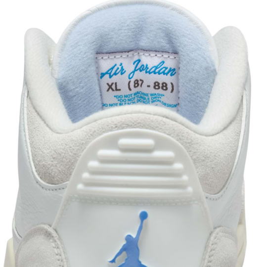 Air Jordan 3 Retro Lucky Shorts