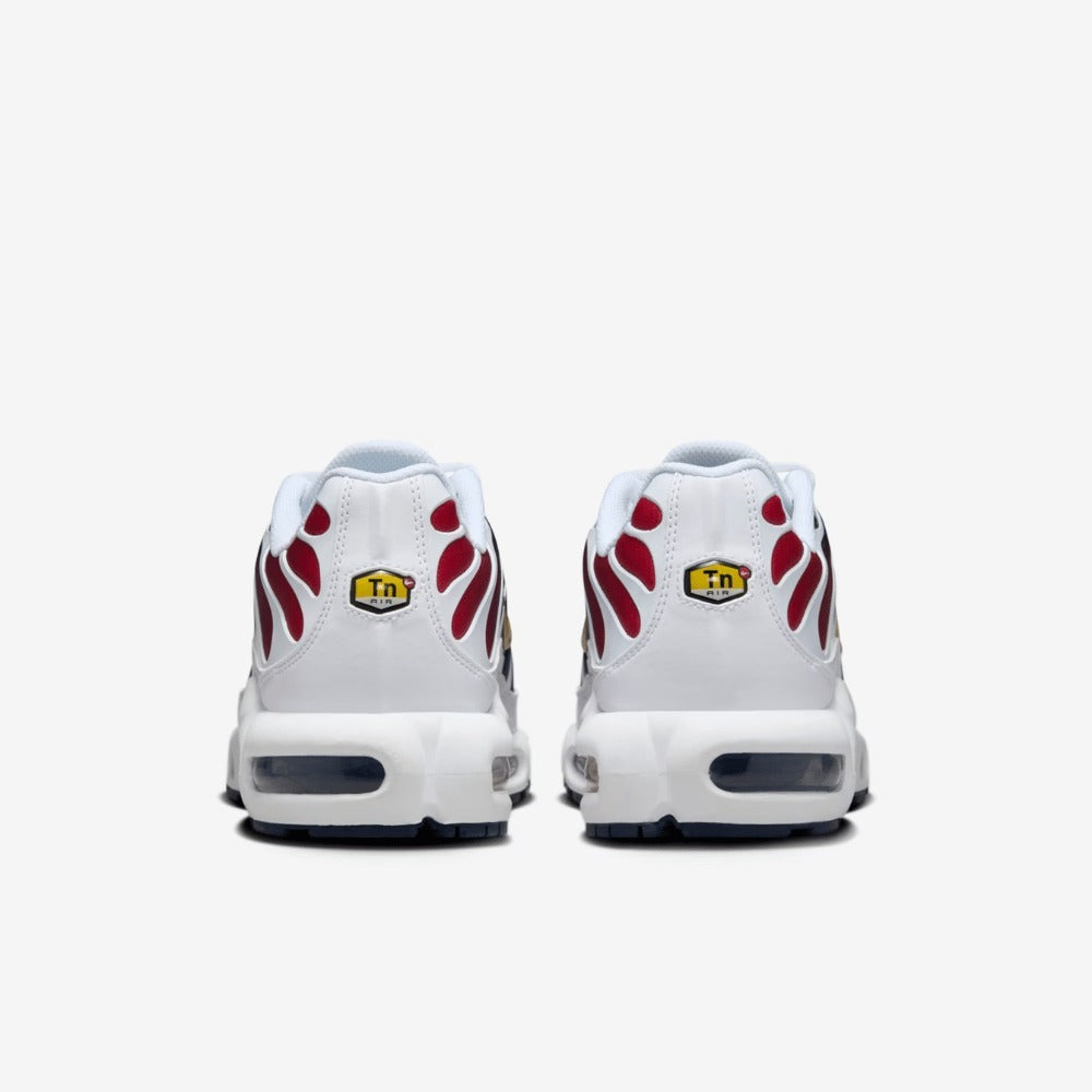 Nike Air Max Plus Paris Saint-Germain