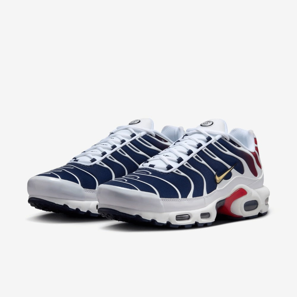 Nike Air Max Plus Paris Saint-Germain