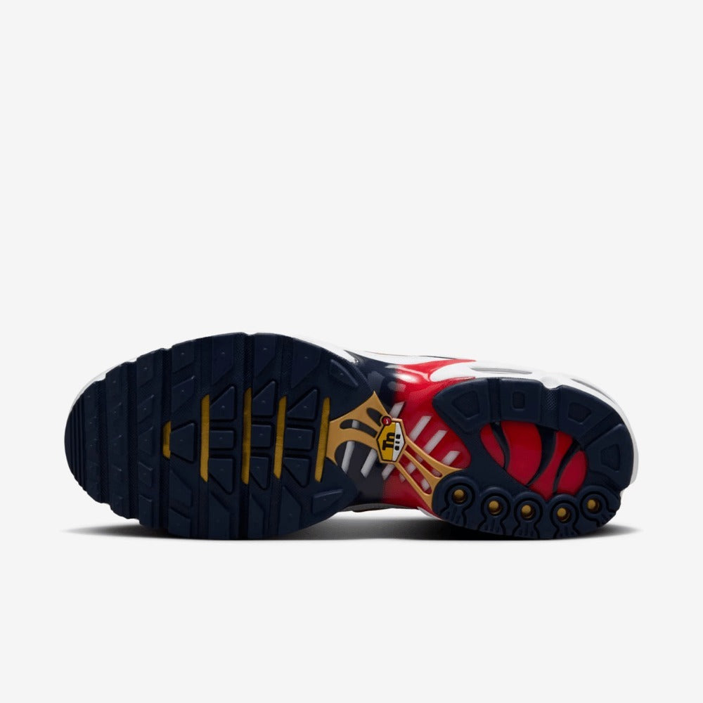 Nike Air Max Plus Paris Saint-Germain