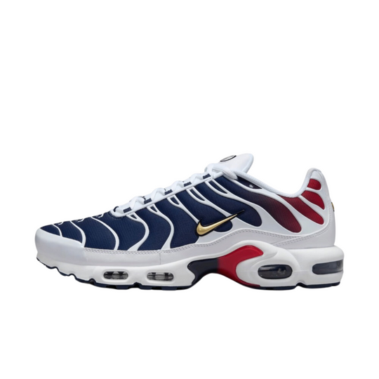 Nike Air Max Plus Paris Saint-Germain